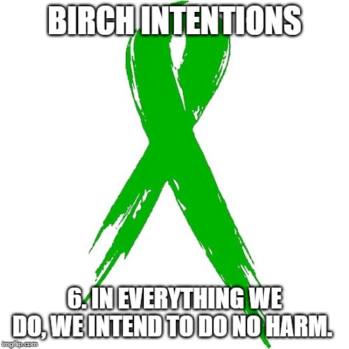 BIRCH INTENTIONS; 6. IN EVERYTHING WE DO, WE INTEND TO DO NO HARM. | image tagged in birch tree,birch intentions,birchtree,mental health,mental illness,stigma | made w/ Imgflip meme maker