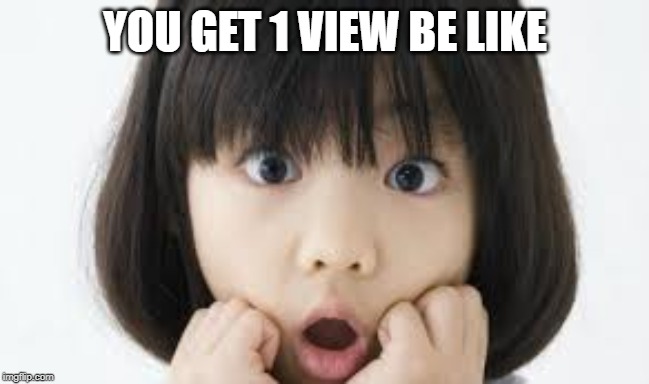 YOU GET 1 VIEW BE LIKE | image tagged in funny | made w/ Imgflip meme maker