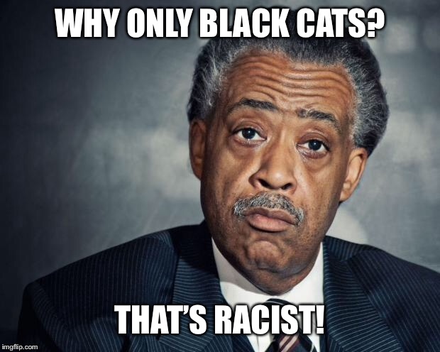 al sharpton racist | WHY ONLY BLACK CATS? THAT’S RACIST! | image tagged in al sharpton racist | made w/ Imgflip meme maker