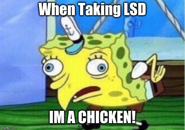 Mocking Spongebob Meme | When Taking LSD; IM A CHICKEN! | image tagged in memes,mocking spongebob | made w/ Imgflip meme maker