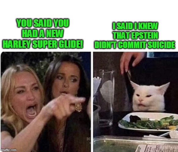 Maybe he got Epstein in barrs virus. | I SAID I KNEW THAT EPSTEIN DIDN'T COMMIT SUICIDE; YOU SAID YOU HAD A NEW HARLEY SUPER GLIDE! | image tagged in ladies yelling at confused cat | made w/ Imgflip meme maker