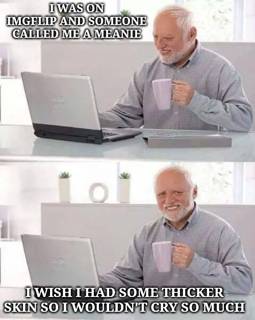 Hide the Pain Harold | I WAS ON IMGFLIP AND SOMEONE CALLED ME A MEANIE; I WISH I HAD SOME THICKER SKIN SO I WOULDN'T CRY SO MUCH | image tagged in memes,hide the pain harold | made w/ Imgflip meme maker