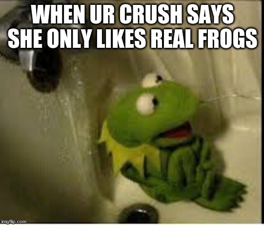 WHEN UR CRUSH SAYS SHE ONLY LIKES REAL FROGS | image tagged in kermit the frog | made w/ Imgflip meme maker