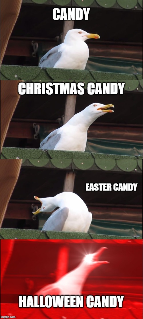 Inhaling Seagull Meme | CANDY; CHRISTMAS CANDY; EASTER CANDY; HALLOWEEN CANDY | image tagged in memes,inhaling seagull | made w/ Imgflip meme maker