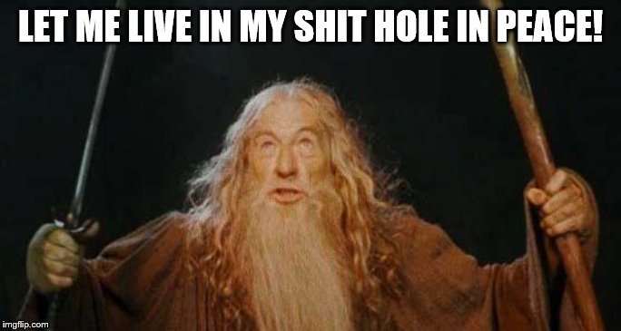 gandalf | LET ME LIVE IN MY SHIT HOLE IN PEACE! | image tagged in gandalf | made w/ Imgflip meme maker