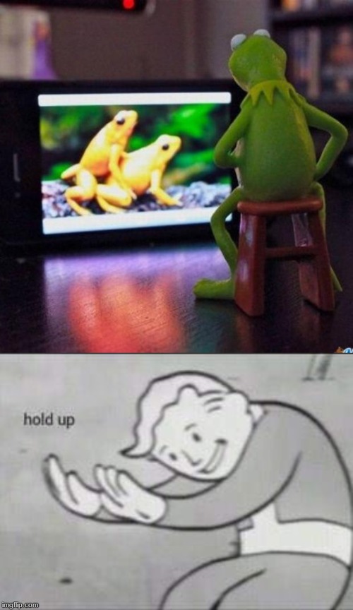Hmmmmm | image tagged in kermit tv,fallout hold up | made w/ Imgflip meme maker