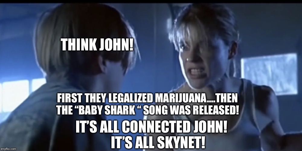 Sarah Connor explains Skynet | THINK JOHN! FIRST THEY LEGALIZED MARIJUANA....THEN THE “BABY SHARK “ SONG WAS RELEASED! IT’S ALL CONNECTED JOHN!     
IT’S ALL SKYNET! | image tagged in sarah connor explains skynet | made w/ Imgflip meme maker