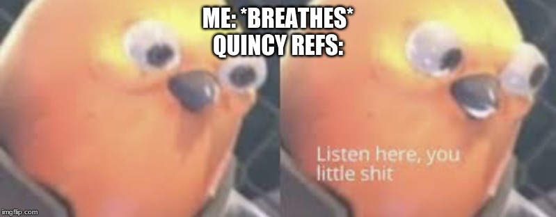 Listen here you little shit bird | ME: *BREATHES*
QUINCY REFS: | image tagged in listen here you little shit bird | made w/ Imgflip meme maker