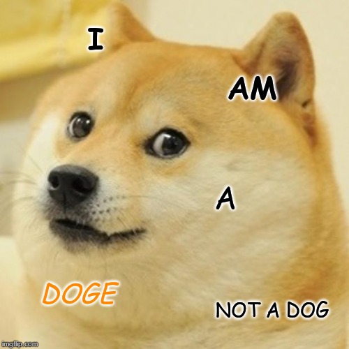 Doge Meme | I; AM; A; DOGE; NOT A DOG | image tagged in memes,doge | made w/ Imgflip meme maker