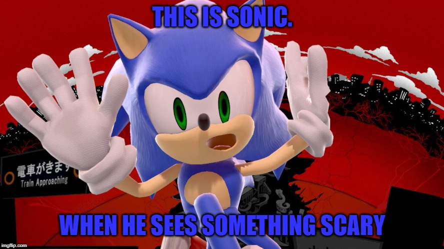 Sonic Freaks Out | THIS IS SONIC. WHEN HE SEES SOMETHING SCARY | image tagged in sonic freaks out | made w/ Imgflip meme maker