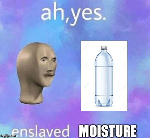 Ah Yes enslaved | MOISTURE | image tagged in ah yes enslaved | made w/ Imgflip meme maker