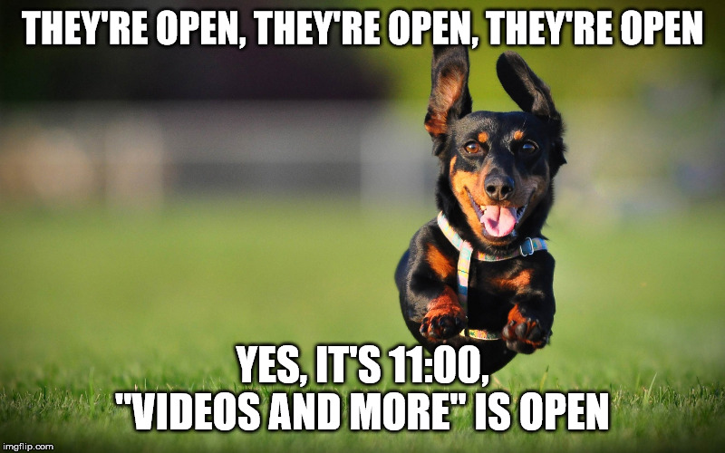 Dog Running | THEY'RE OPEN, THEY'RE OPEN, THEY'RE OPEN; YES, IT'S 11:00, "VIDEOS AND MORE" IS OPEN | image tagged in dog running | made w/ Imgflip meme maker