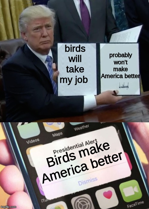 probably won't make America better; birds will take my job; Birds make America better | image tagged in memes,trump bill signing,presidential alert | made w/ Imgflip meme maker