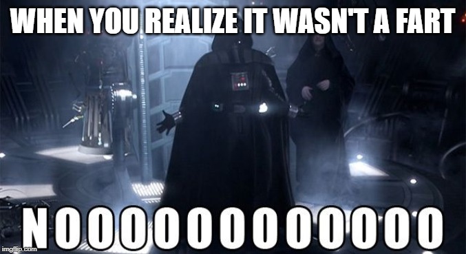 Darth Vader Noooo | WHEN YOU REALIZE IT WASN'T A FART | image tagged in darth vader noooo | made w/ Imgflip meme maker