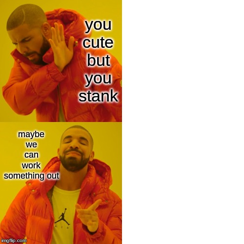 Drake Hotline Bling Meme | you cute but you stank; maybe we can work something out | image tagged in memes,drake hotline bling | made w/ Imgflip meme maker
