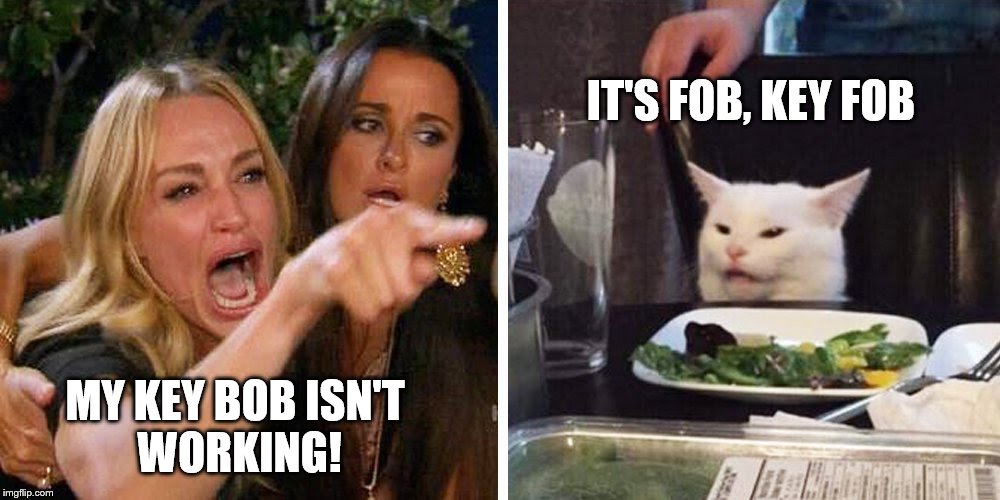Smudge the cat | IT'S FOB, KEY FOB; MY KEY BOB ISN'T 
WORKING! | image tagged in smudge the cat | made w/ Imgflip meme maker