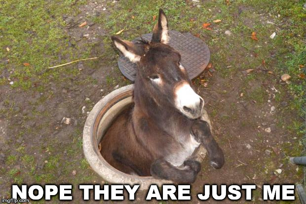 Asshole | NOPE THEY ARE JUST ME | image tagged in asshole | made w/ Imgflip meme maker