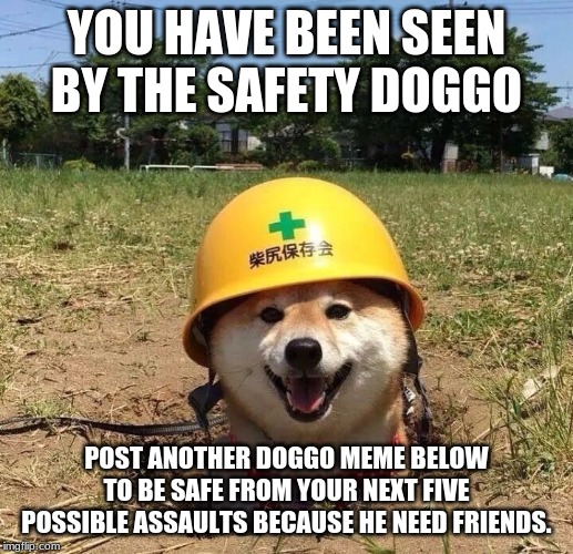 Safety doggo | YOU HAVE BEEN SEEN BY THE SAFETY DOGGO; POST ANOTHER DOGGO MEME BELOW TO BE SAFE FROM YOUR NEXT FIVE POSSIBLE ASSAULTS BECAUSE HE NEED FRIENDS. | image tagged in safety doggo | made w/ Imgflip meme maker