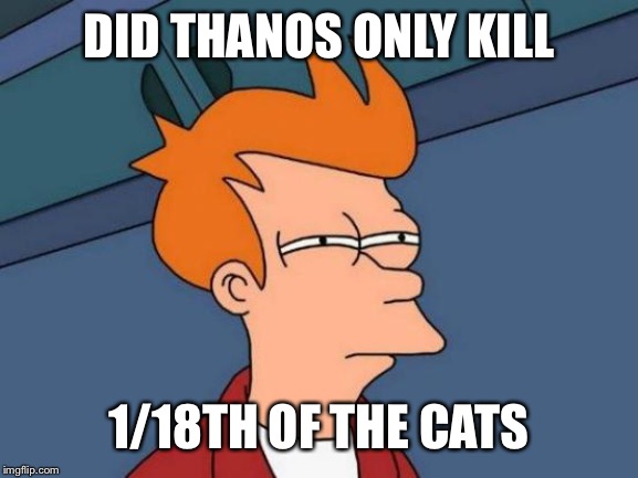 Futurama Fry Meme | DID THANOS ONLY KILL 1/18TH OF THE CATS | image tagged in memes,futurama fry | made w/ Imgflip meme maker