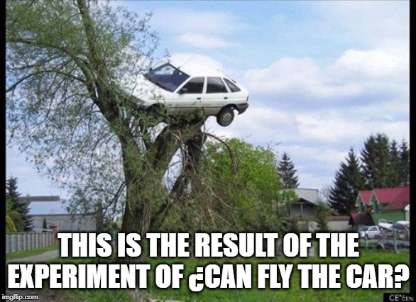 Secure Parking Meme | THIS IS THE RESULT OF THE EXPERIMENT OF ¿CAN FLY THE CAR? | image tagged in memes,secure parking | made w/ Imgflip meme maker