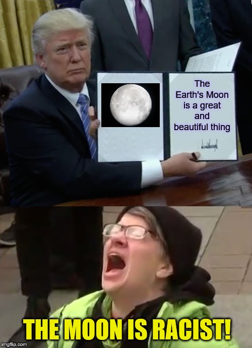 They just go against anything he says. | The Earth's Moon is a great and beautiful thing; THE MOON IS RACIST! | image tagged in memes,trump bill signing,screaming liberal,full moon,political meme | made w/ Imgflip meme maker