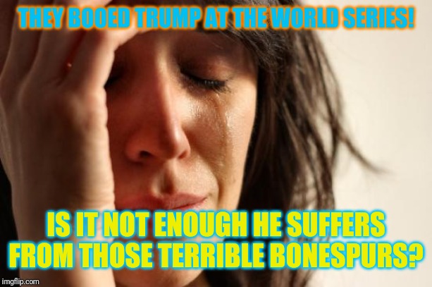 Clueless trump supporters! | THEY BOOED TRUMP AT THE WORLD SERIES! IS IT NOT ENOUGH HE SUFFERS FROM THOSE TERRIBLE BONESPURS? | image tagged in memes,first world problems,donald trump,world series | made w/ Imgflip meme maker