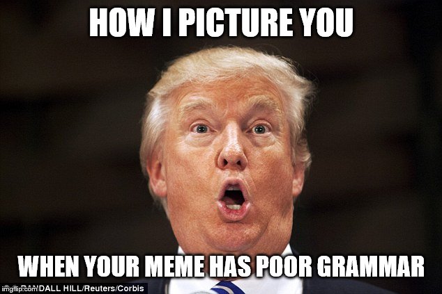 Trump stupid face | HOW I PICTURE YOU; WHEN YOUR MEME HAS POOR GRAMMAR | image tagged in trump stupid face | made w/ Imgflip meme maker