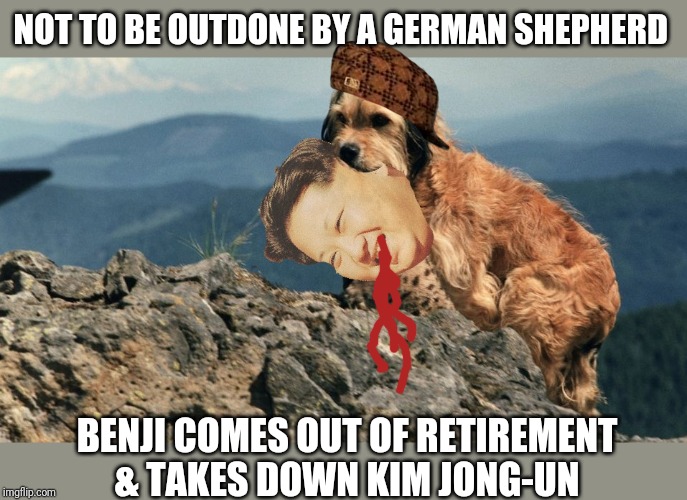 Benji comes out of retirement! | NOT TO BE OUTDONE BY A GERMAN SHEPHERD; BENJI COMES OUT OF RETIREMENT & TAKES DOWN KIM JONG-UN | image tagged in isis,us military,dogs,benji,trump 2020,terrorism | made w/ Imgflip meme maker