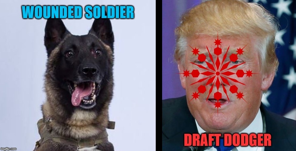 Draft Dodger in Chief | image tagged in trump,draft,draft dodger | made w/ Imgflip meme maker