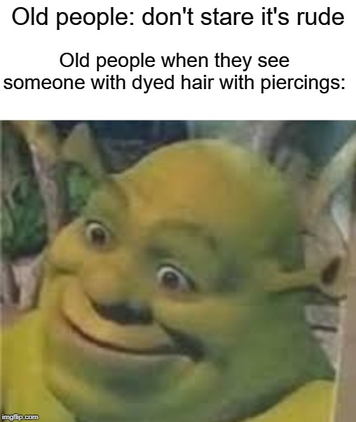 Old people | Old people: don't stare it's rude; Old people when they see someone with dyed hair with piercings: | image tagged in starter pack,funny,old people,memes,shrek | made w/ Imgflip meme maker