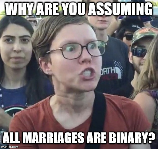 Triggered feminist | WHY ARE YOU ASSUMING; ALL MARRIAGES ARE BINARY? | image tagged in triggered feminist | made w/ Imgflip meme maker