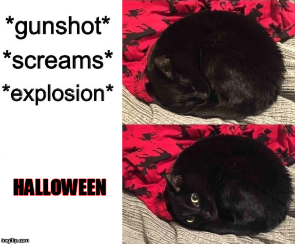 HALLOWEEN | image tagged in halloween,halloween is coming,black cat,sleeping cat | made w/ Imgflip meme maker