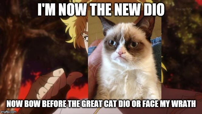 But it was me Dio | I'M NOW THE NEW DIO; NOW BOW BEFORE THE GREAT CAT DIO OR FACE MY WRATH | image tagged in but it was me dio | made w/ Imgflip meme maker