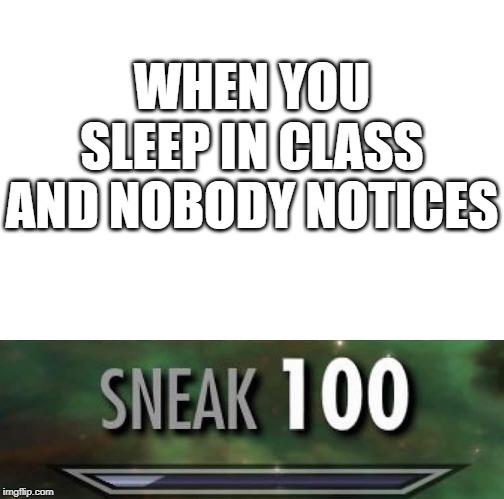 I actually slept in class today and nobody noticed. | WHEN YOU SLEEP IN CLASS AND NOBODY NOTICES | image tagged in sneak 100 | made w/ Imgflip meme maker