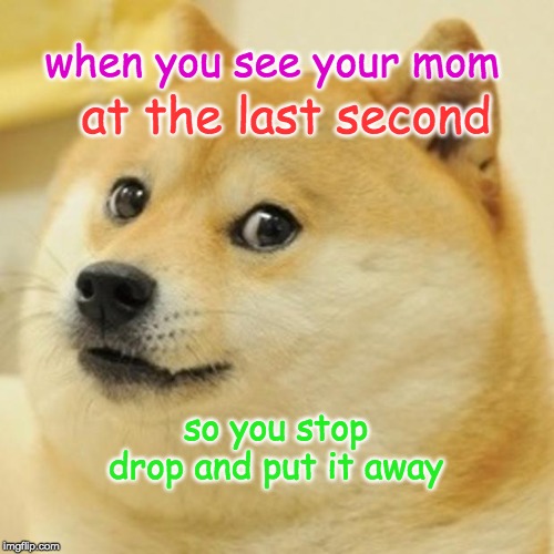 Doge | when you see your mom; at the last second; so you stop drop and put it away | image tagged in memes,doge | made w/ Imgflip meme maker