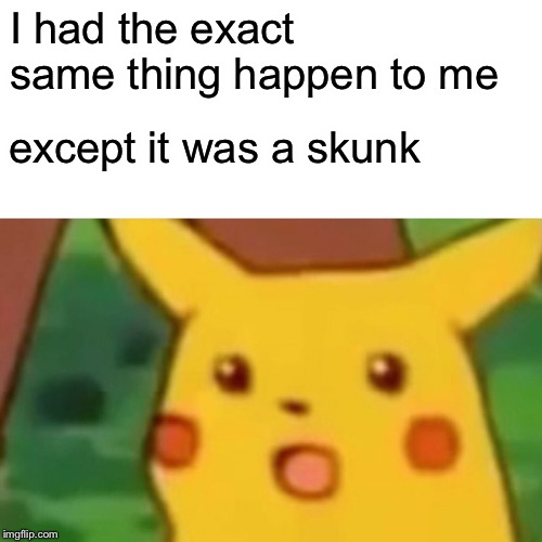 Surprised Pikachu Meme | I had the exact same thing happen to me except it was a skunk | image tagged in memes,surprised pikachu | made w/ Imgflip meme maker
