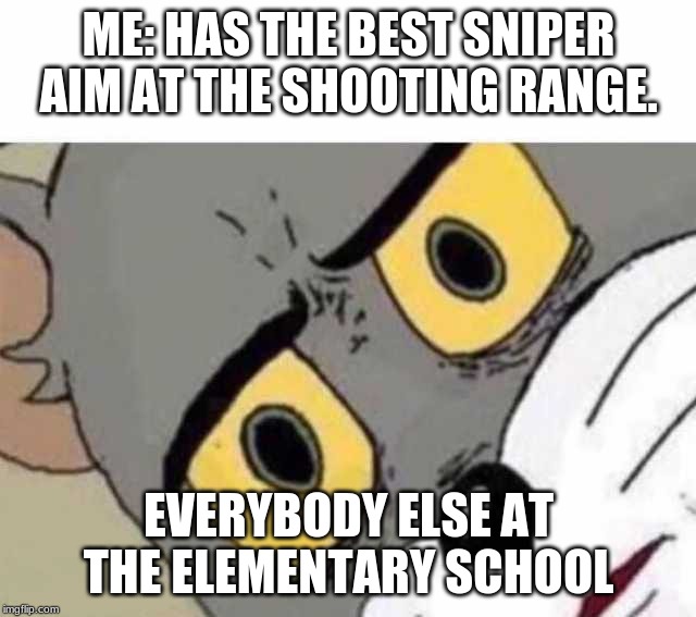 Tom Cat Unsettled Close up | ME: HAS THE BEST SNIPER AIM AT THE SHOOTING RANGE. EVERYBODY ELSE AT THE ELEMENTARY SCHOOL | image tagged in tom cat unsettled close up | made w/ Imgflip meme maker