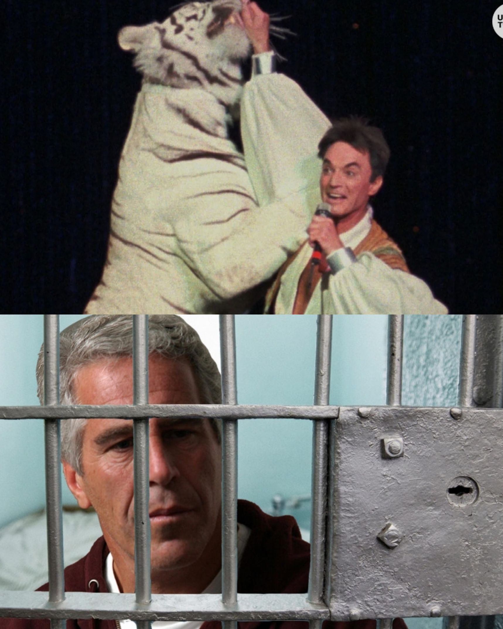 Jeffrey Epstein Blank Meme Template