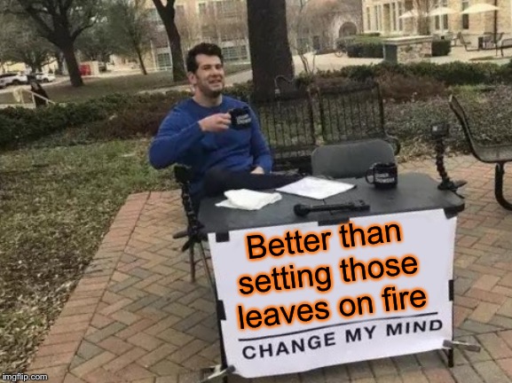 Change My Mind Meme | Better than setting those leaves on fire | image tagged in memes,change my mind | made w/ Imgflip meme maker