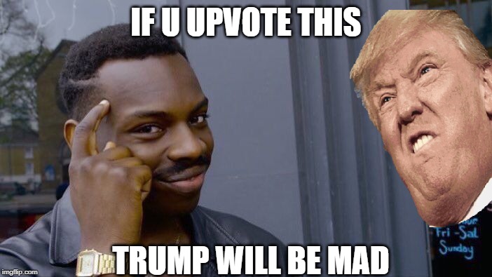 Roll Safe Think About It Meme | IF U UPVOTE THIS; TRUMP WILL BE MAD | image tagged in memes,roll safe think about it | made w/ Imgflip meme maker