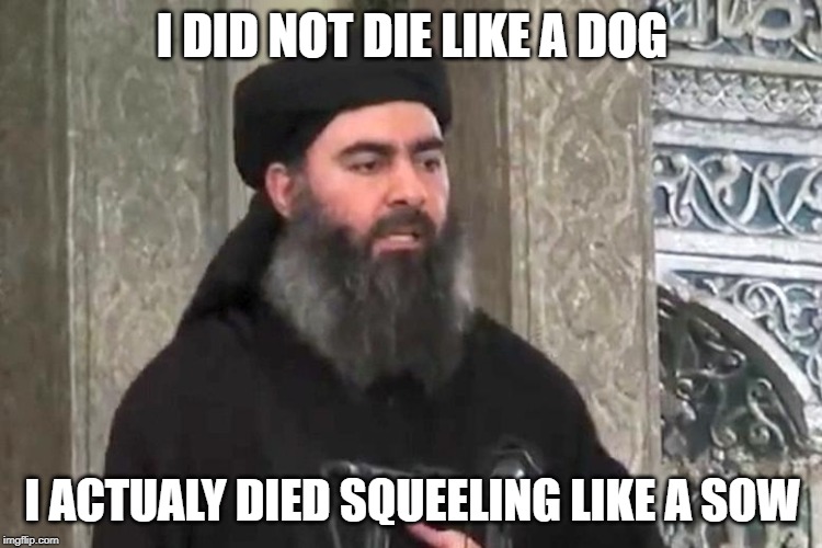 Al baghdadi | I DID NOT DIE LIKE A DOG; I ACTUALY DIED SQUEELING LIKE A SOW | image tagged in al baghdadi | made w/ Imgflip meme maker