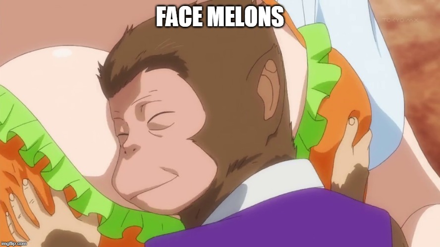 monkey boobs | FACE MELONS | image tagged in monkey boobs | made w/ Imgflip meme maker