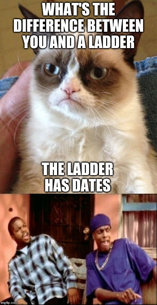 Damn roasted | WHAT'S THE DIFFERENCE BETWEEN YOU AND A LADDER; THE LADDER HAS DATES | image tagged in memes,grumpy cat,damnnnn you got roasted | made w/ Imgflip meme maker