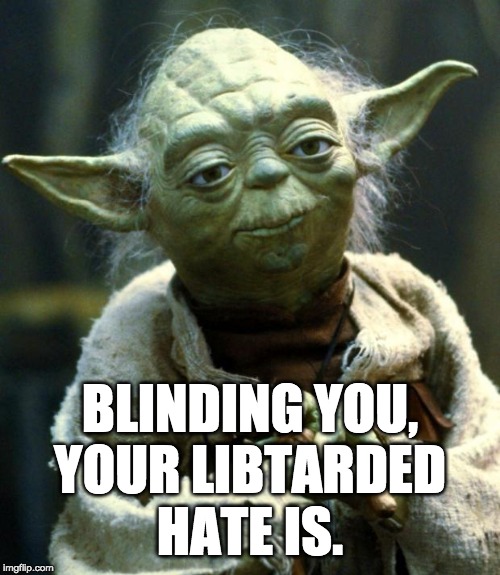 Star Wars Yoda Meme | BLINDING YOU,
YOUR LIBTARDED
HATE IS. | image tagged in memes,star wars yoda | made w/ Imgflip meme maker