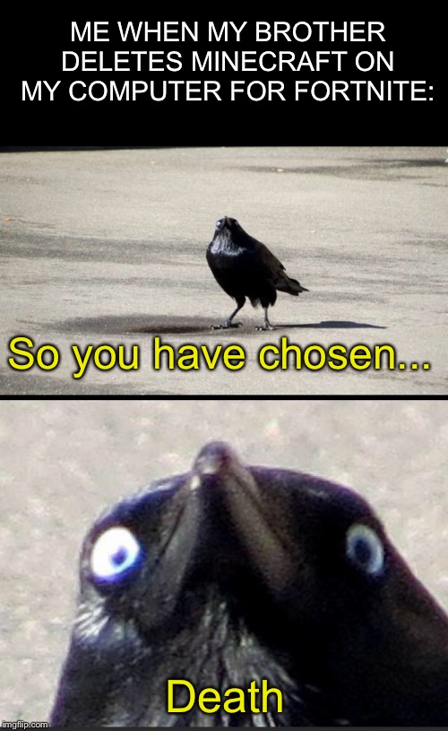 Insanity Crow | ME WHEN MY BROTHER DELETES MINECRAFT ON MY COMPUTER FOR FORTNITE:; So you have chosen... Death | image tagged in insanity crow | made w/ Imgflip meme maker