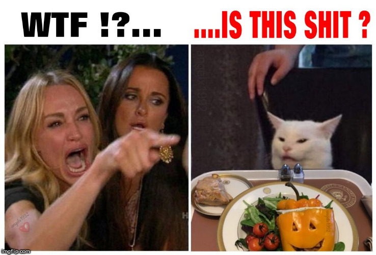 image tagged in woman yelling at cat,woman yelling at a cat,trump,halloween,wtf is that,cat | made w/ Imgflip meme maker
