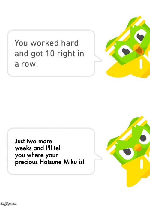 Duolingo 10 in a Row | Just two more weeks and I'll tell you where your precious Hatsune Miku is! | image tagged in duolingo 10 in a row,memes,duolingo,hatsune miku | made w/ Imgflip meme maker