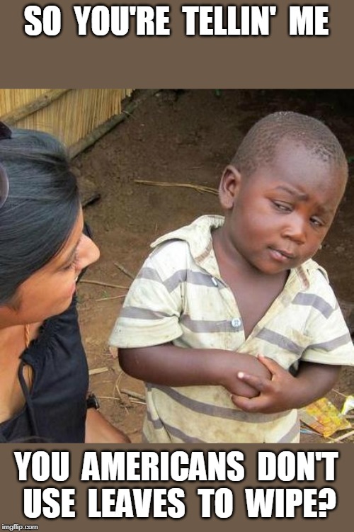Third World Skeptical Kid | SO  YOU'RE  TELLIN'  ME; YOU  AMERICANS  DON'T  USE  LEAVES  TO  WIPE? | image tagged in memes,third world skeptical kid | made w/ Imgflip meme maker