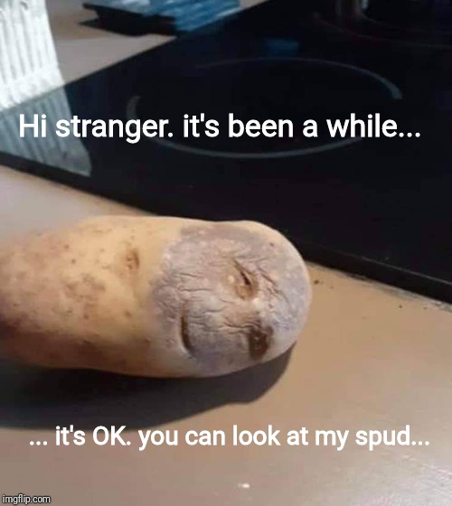 hi stranger potato | Hi stranger. it's been a while... ... it's OK. you can look at my spud... | image tagged in hi stranger potato | made w/ Imgflip meme maker