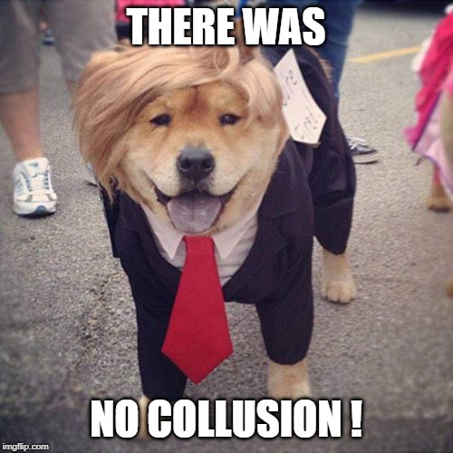 Trump Dog | THERE WAS NO COLLUSION ! | image tagged in trump dog | made w/ Imgflip meme maker